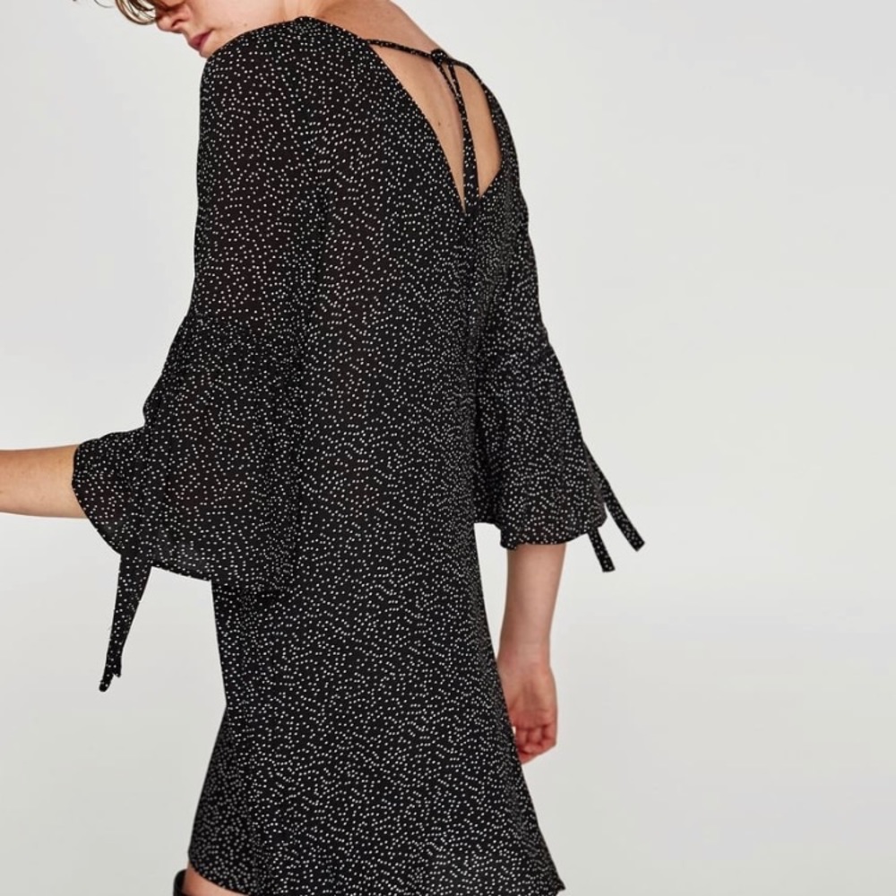 NWT Zara Dress with Frilled Sleeves
